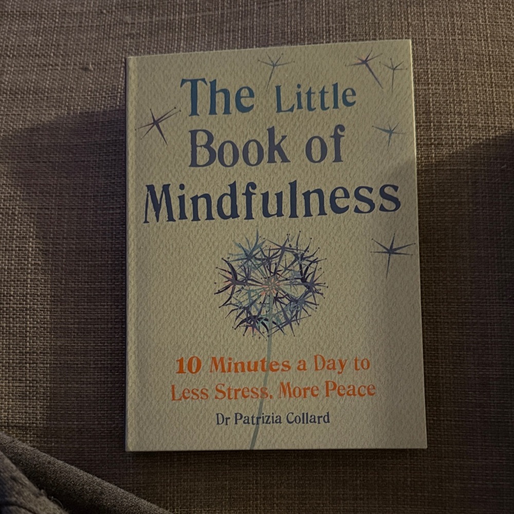 The Little Book Of Mindfulness